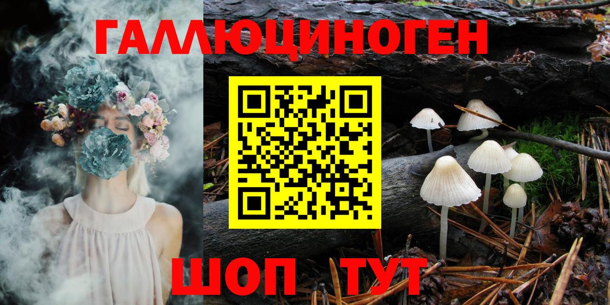 Советск  Галлюциногенные грибы MAGIC MUSHROOMS  сколько стоит  Вход с VPN 